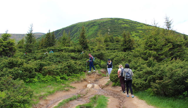 緩やかな登山道（29-8）