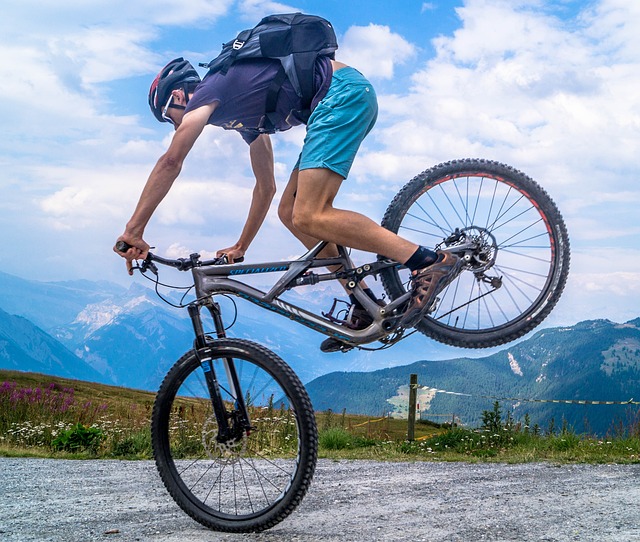 スポーツ専用自転車（マウンテンバイク）（117-4）