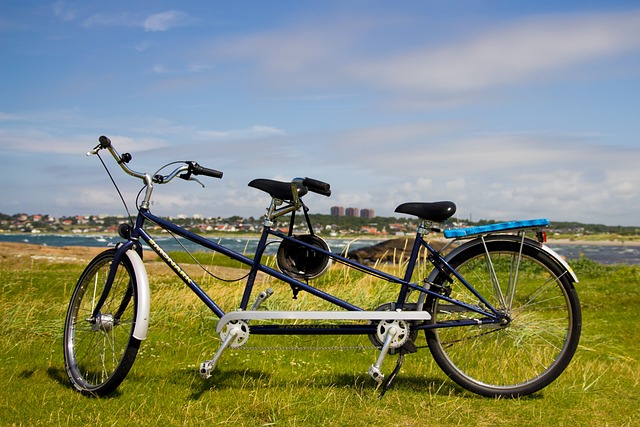 特殊自転車（タンデム車）（117-10）